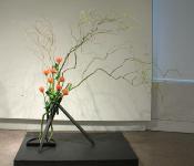 08 - Michel Charron.jpg 4.3K